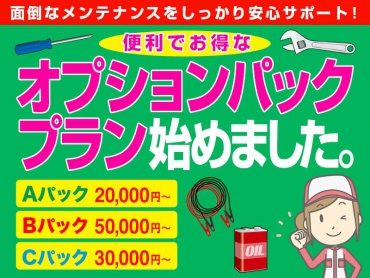 日野 グランドプロフィア 冷凍バン 大型 LKG-FR1EXBG 年式 H22 [写真45]