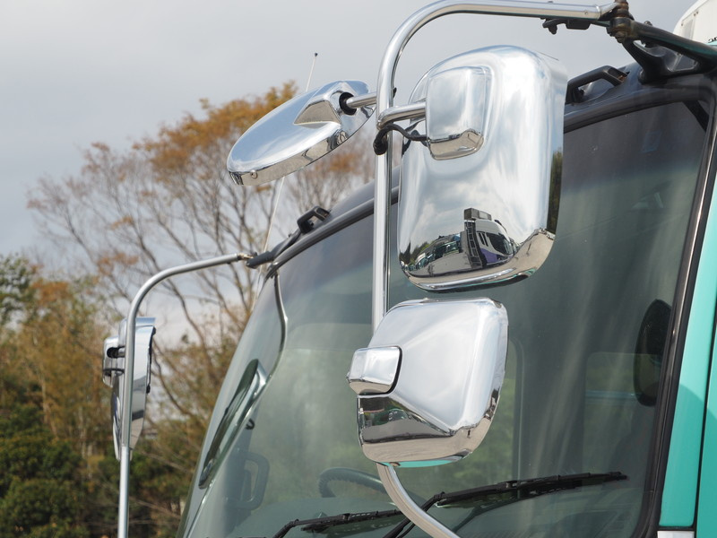 いすゞ ギガ 冷凍ウイング 大型 PJ-CYL51V5 年式 H17[写真08]