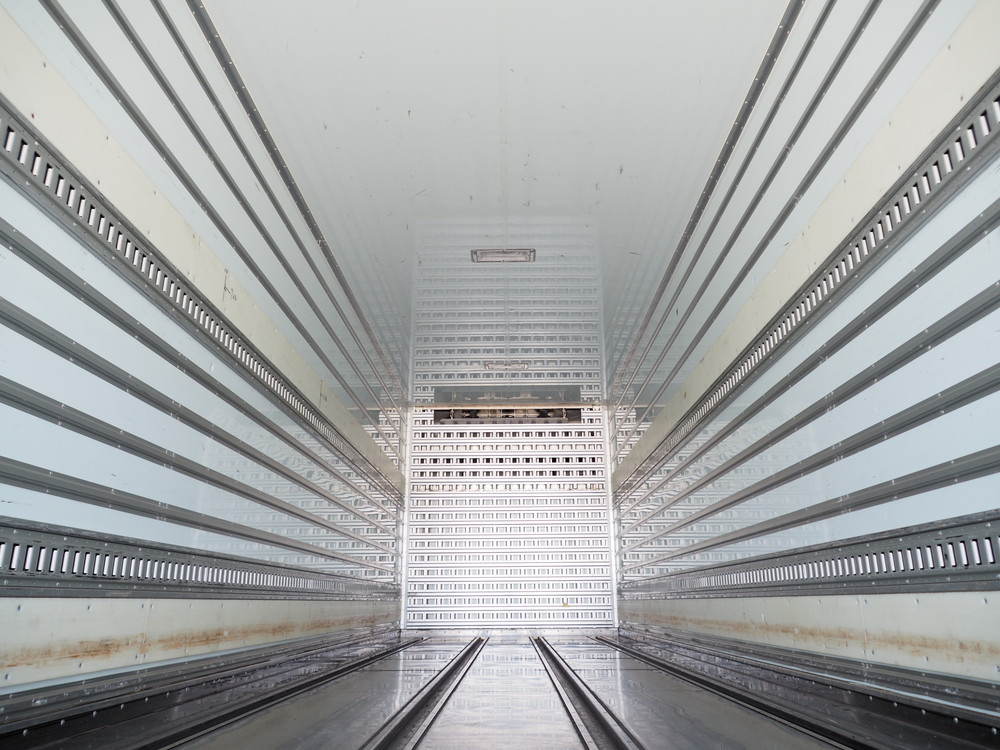 いすゞ ギガ 冷凍バン 大型 QPG-CYJ77B 年式 H30[写真15]