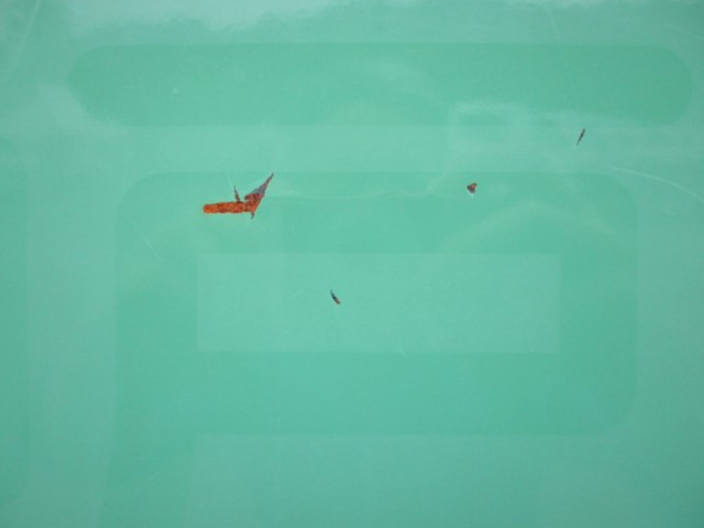 いすゞ エルフ パッカー 小型 TPG-NMR85AN 年式 H28[写真09]